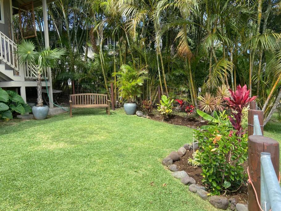 Private Ohana On The Lush Hamakua Coast With Ac Honokaa Luaran gambar