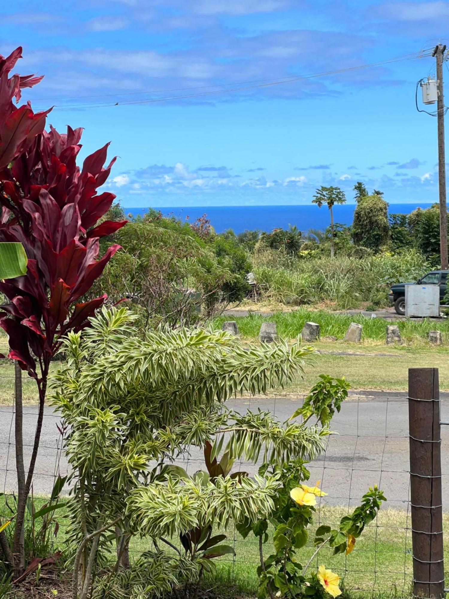Private Ohana On The Lush Hamakua Coast With Ac Honokaa Luaran gambar